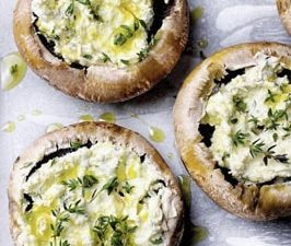 قارچ شکم پر