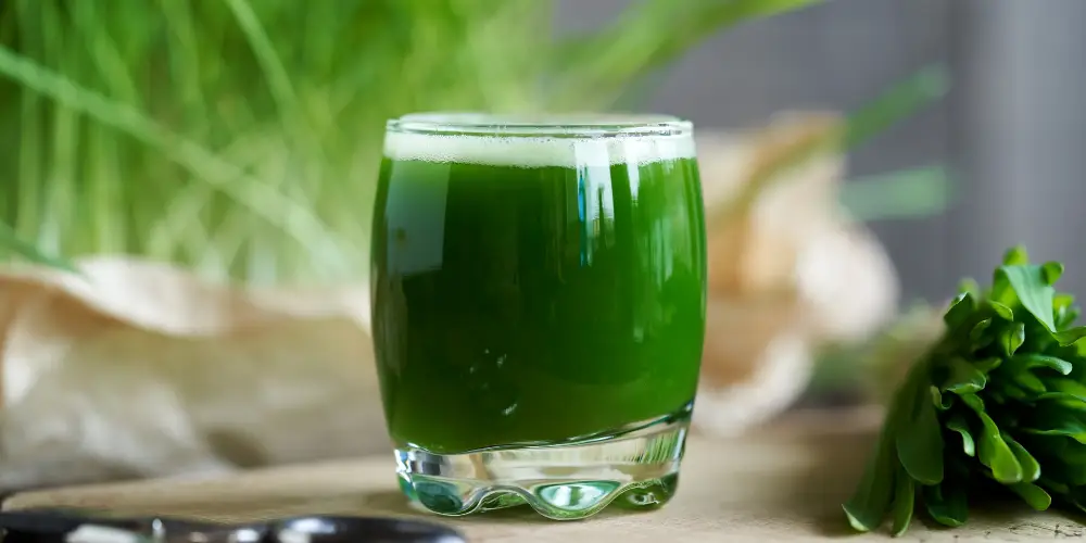 طرز تهیه کلروفیل خانگی