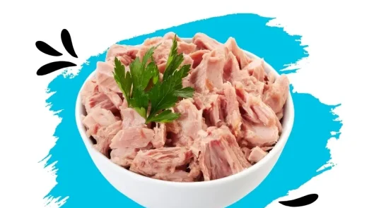 طرز تهیه ساندویچ تن ماهی