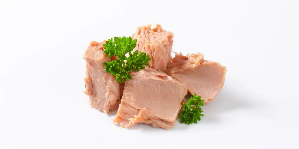 طرز تهیه تن ماهی با شوید (معطر)