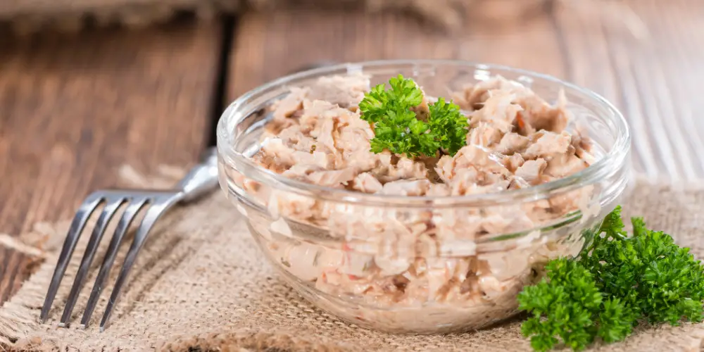 طرز تهیه تن ماهی در روغن