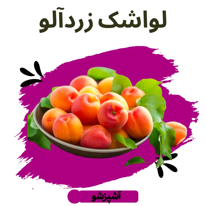 طرز تهیه لواشک زردآلو