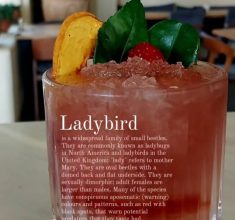 آموزش باریستایی