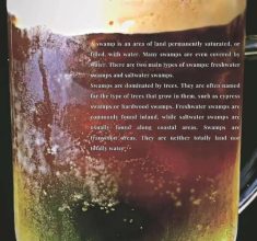 آموزش باریستایی