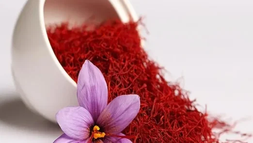 زعفران بیرون ریخته شده از ظرف به همراه گل زعفران