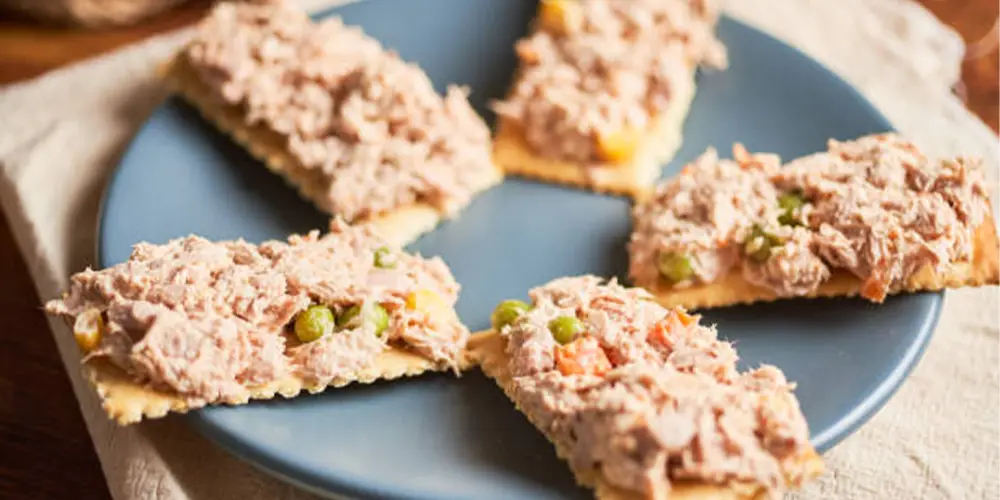 کراکر سبوس‌دار با تن‌ماهی