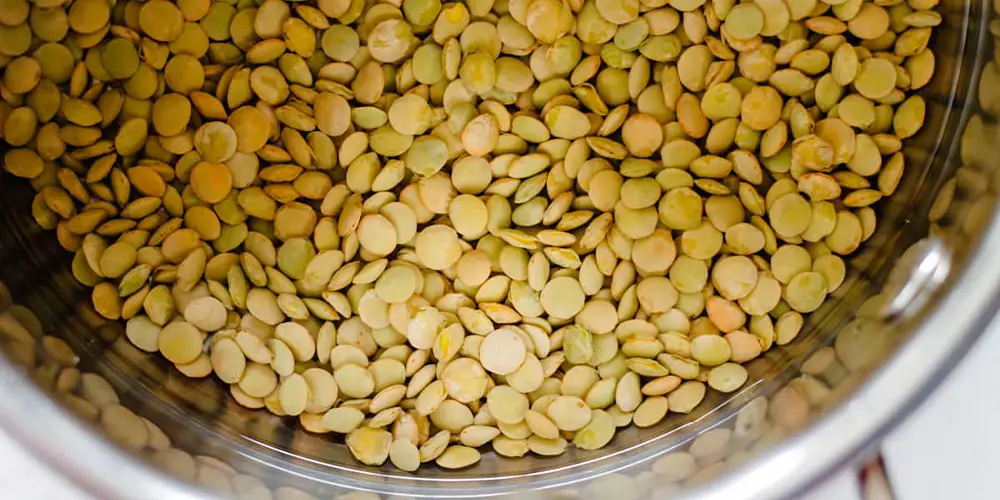 عدس، در دسترسترین و اقتصادیترین منبع پروتئین گیاهی