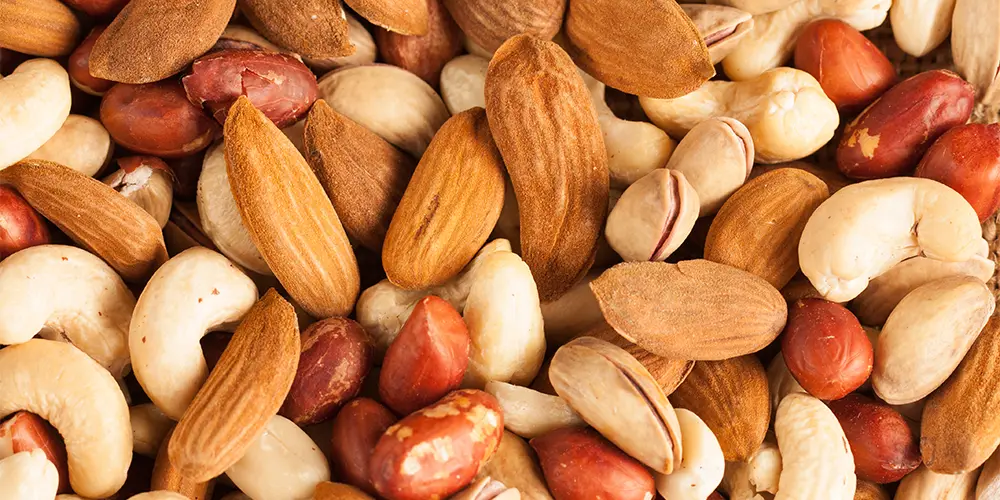 انواع مغزها و دانهها: از انواع پروتئین گیاهی