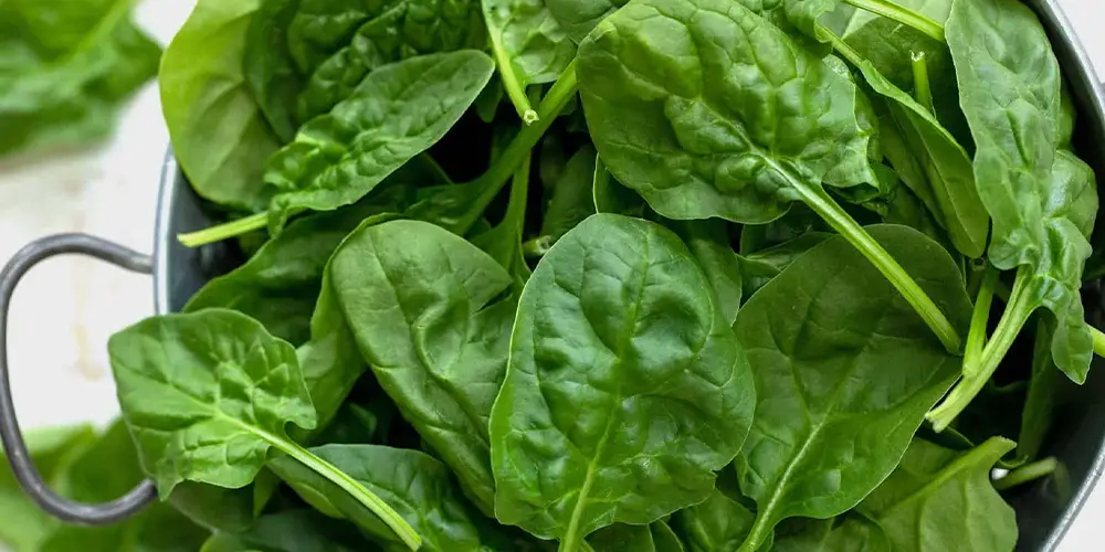 اسفناج، یکی از غنیترین انواع سبزیجات