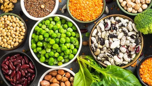 بهترین منابع پروتئینی گیاهی