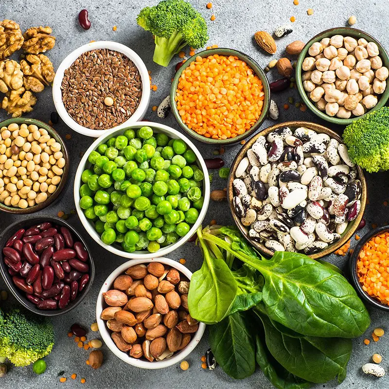 بهترین منابع پروتئینی گیاهی